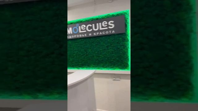 изготовление Панно из мха с подсветкой