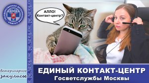Единый контакт-центр Госветслужбы Москвы: круглосуточно на связи с владельцами животных