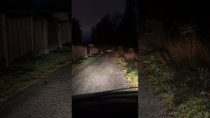 Птф на Форд Транзит