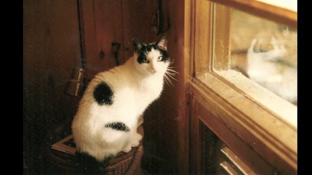 Poucette смотреть онлайн