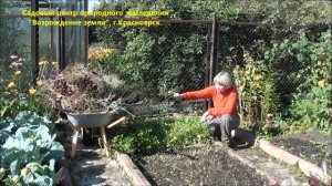 Как поступить с почвой после уборки урожая?