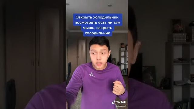 КТО БЫСТРЕЕ МЫШЬ ИЛИ ЖИРАФ? TikTok!