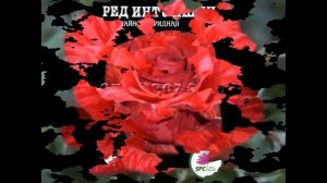 #Розы #чайно-гибридные10 #Цветы для сада и бизнеса от Ольги Шевчук