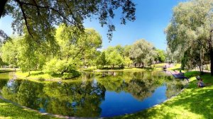 Незаконные законы.