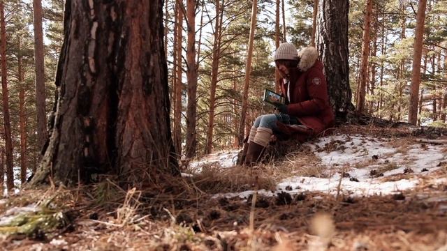 Книга Анастасия, Звенящие кедры России смотреть онлайн