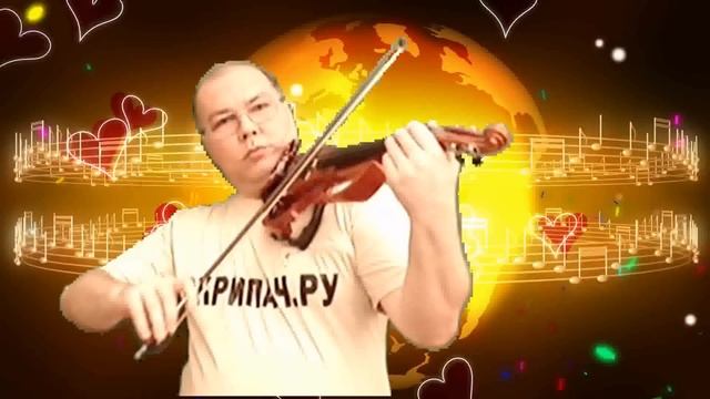 Скрипка и Электроскрипка - чем отличается акустическая скрипка от скрипки электро.