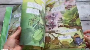 Большая книга о насекомых