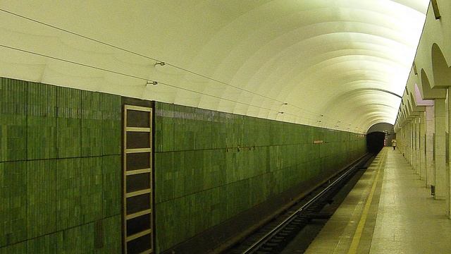 Станции Петербургского метрополитена | Лесная