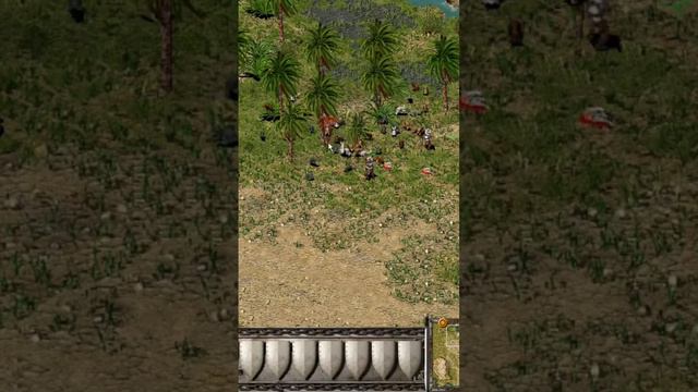 В округе развелось слишком много кроликов #stronghold #лучшие #strongholdcrusader #топ #цитадель