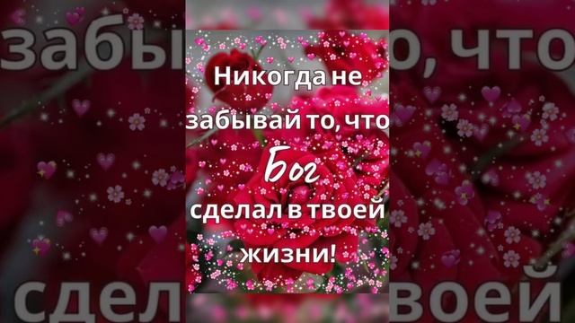 Спокойной осенней ночи ноября!!