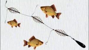 Карась поздней осенью! Где и чем ловить карася в ноябре.