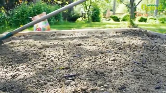 Навоз овечий   экологичный урожай с собственного огорода смотреть онлайн