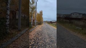 Московская область, Богородский округ, Клюшниково.