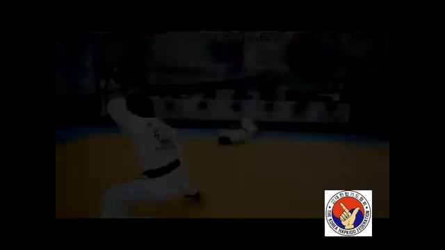 This is The Korea Hapkido Federation!!!