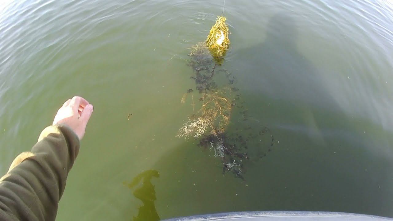 Окунь в траве