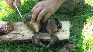 Охотничий нож Сурок. Нож из стали х12мф.