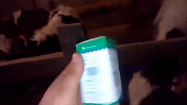 Лечим Бычка смотреть онлайн