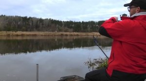 Ловля Фидером на Реке! Снасти, оснастки, кормушки, крючки, реализация поклевок...Часть 1.