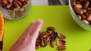 33. кофе из зерен желудей