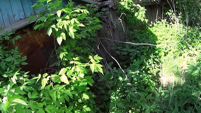 ТУТ ЕСТЬ НА ЧТО ПОСМОТРЕТЬ! Интересные находки в брошенных домах. Заброшенная деревня среди полей.