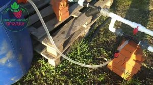 Полив через капельную ленту под корень удобрениями. Расход и какое удобрение.