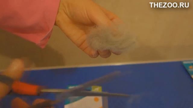 Ножницы Ferplast GRO 5988 для стрижки прямые смотреть онлайн