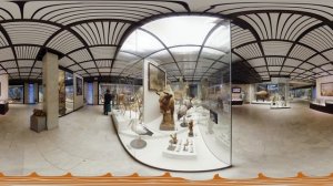 Дарвиновский музей