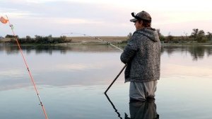 Раздача на реке ИЛИ крупного САЗАНА и АМУРА! Амур пробил подсак! Отличная рыбалка на Реке Или!