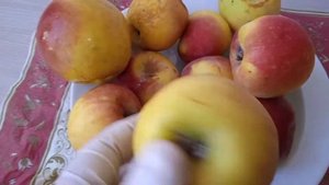 Обзор как сохранились яблоки Орловский Синап на конец февраля