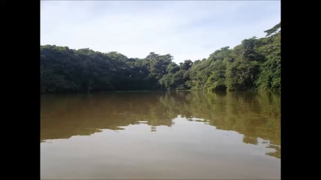 Expedição Porecatu-Itaguajé (kayak 71 km) смотреть онлайн