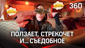 «Экодеревушка» в Коломне: корреспондент 360 окунулась в мир насекомых и попробовала их на вкус