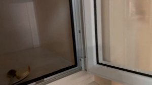 У ребенка пневмония ? попали в больницу ? 6-я детская инфекционная больница в Москве.