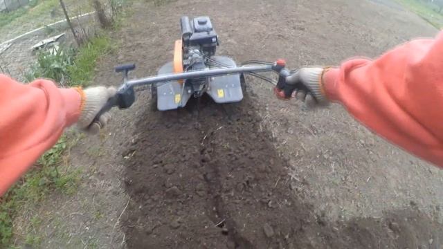 Культивация мотоблоком Oleo-Mac MH 197 RK