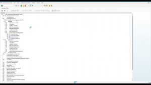 SAP для начинающих. Создание компании с нуля