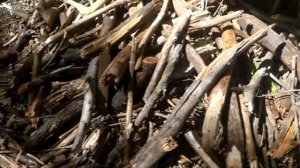 Дровяная печь для обжига керамики из самана. Как мы строили печь в деревне под Харьковом без кирпич