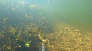 Малые реки. Подводная охота в Тверской и Калужской областях. Космический прозрак.