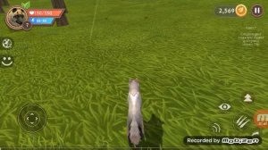 ??Как взломать WildCraft в обновленной версии? ОТВЕТ ЗДЕСЬ