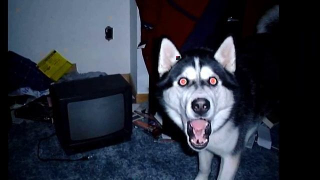 ВСЁ О Smile.jpg! СМЕРТЕЛЬНЫЙ ФАЙЛ?!