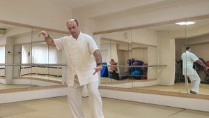 Как в Тайцзицюань правильно расчёсывать гриву дикой лошади??