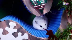 Рождественский домик - Лабиринт для хомячков!