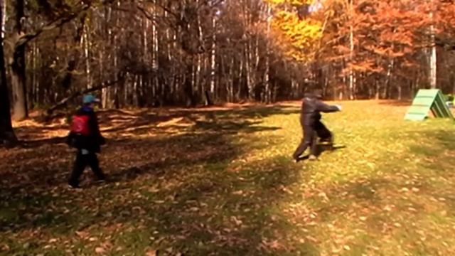 Doberman Training IPO C (Irinland Karero Kayen) смотреть онлайн