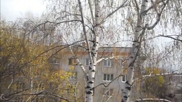 Вербное воскресенье/Сколько веточек вербы должно быть в букете смотреть онлайн