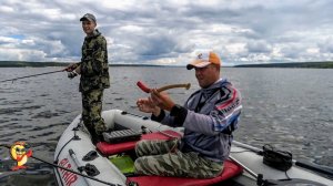 РЫБАЛКА на водохранилище. Выгуливаю Dodger и TATULA. Судак на квок.