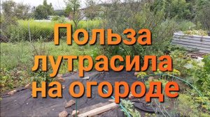 Польза лутрасила на огороде