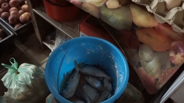 VLOG ♥ ПИЦЦА ♥ МОИ ЛЮБИМЫЕ МУЖЧИНЫ ПРИЕХАЛИ ♥ 25 сентября 2016 ♥ Хуторянка смотреть онлайн