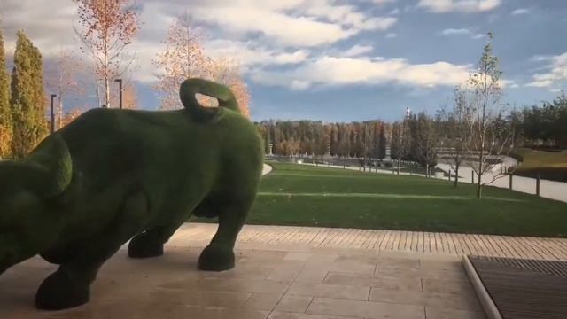 Осенний стадион и парк Галицкого смотреть онлайн