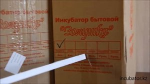 Инкубатор Золушка комплектация