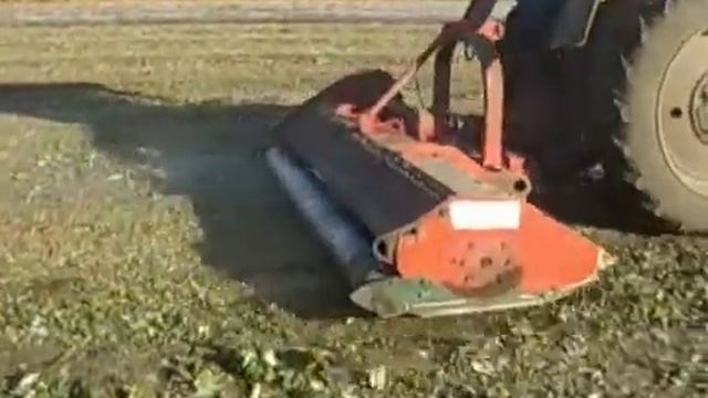 Осеннее скашивание побегов ремонтантной малины смотреть онлайн