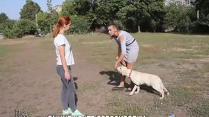 Как заслужить доверие собаки? Учим собаку команде Нельзя. Основы и нюансы дрессировки