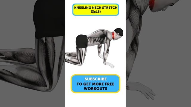 Quick and Effective: 9 Minute Home Workout for Better Posture and Spinal Health